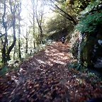DSCN4481