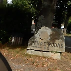 DSCN7328