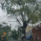 20161015_100438