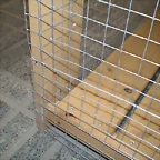 P6100251