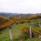 reglaje 036