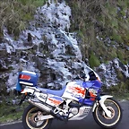 IMG-20190124-WA0262