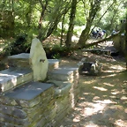 DSCN6659