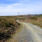 18-IMG_5229