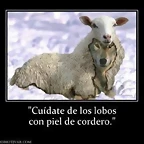 lobo con piel de cordero