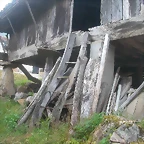DSCN3975
