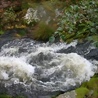 DSCN5744