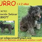 CURRO Cdiz