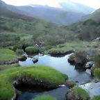 DSCN5186