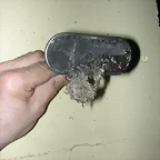 DSCN5938