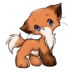 cute-anime-cat