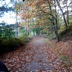 DSCN3736