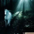 blanco_unicornio