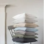 ampliada
