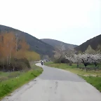 DSCN3619