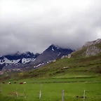 DSCN4342