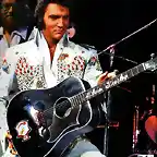 solo elvis