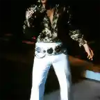 solo elvis