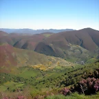 DSCN5293