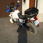 domiacerbis (5)