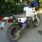 domiacerbis (8)