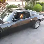 Camaro 12