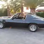 Camaro 11