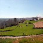 DSCN5684