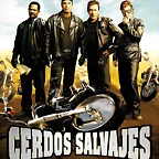 cerdos-salvajes
