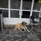 DSCN2871