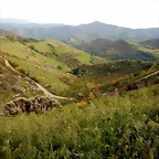DSCN8973