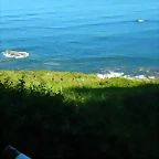 DSCN3003