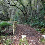 DSCN3757