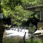 DSCN6706