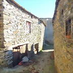 DSCN9006