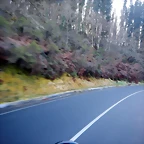 DSCN2651