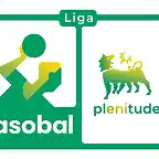 Liga Plenitude Asobal