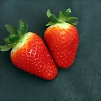 fresa2