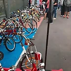 17991143_1036105079822320_5692641254480598099_n