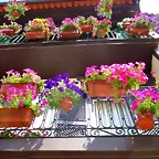 107-IMG_6256