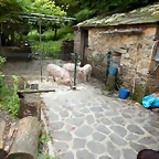 DSCN1588