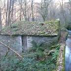DSCN5784