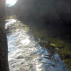 DSCN5774