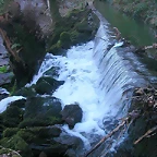DSCN5790