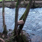 DSCN5793