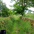 68-IMG_1539