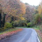 DSCN4605