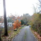 DSCN1798