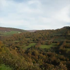 DSCN0536
