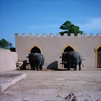 PIC04854